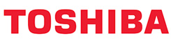 Toshiba Minicams