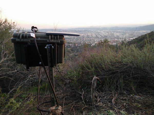 Wildlife Camera Trap - Image 5