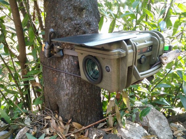 Wildlife Camera Trap - Image 4